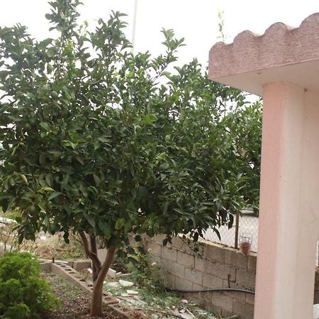 Casa Vacanze بيسكيناس المظهر الخارجي الصورة