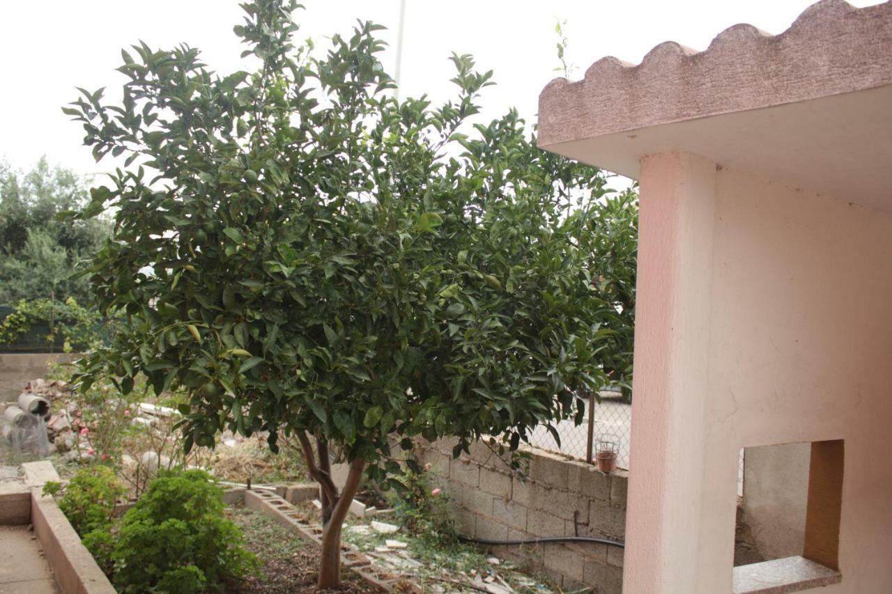 Casa Vacanze بيسكيناس المظهر الخارجي الصورة