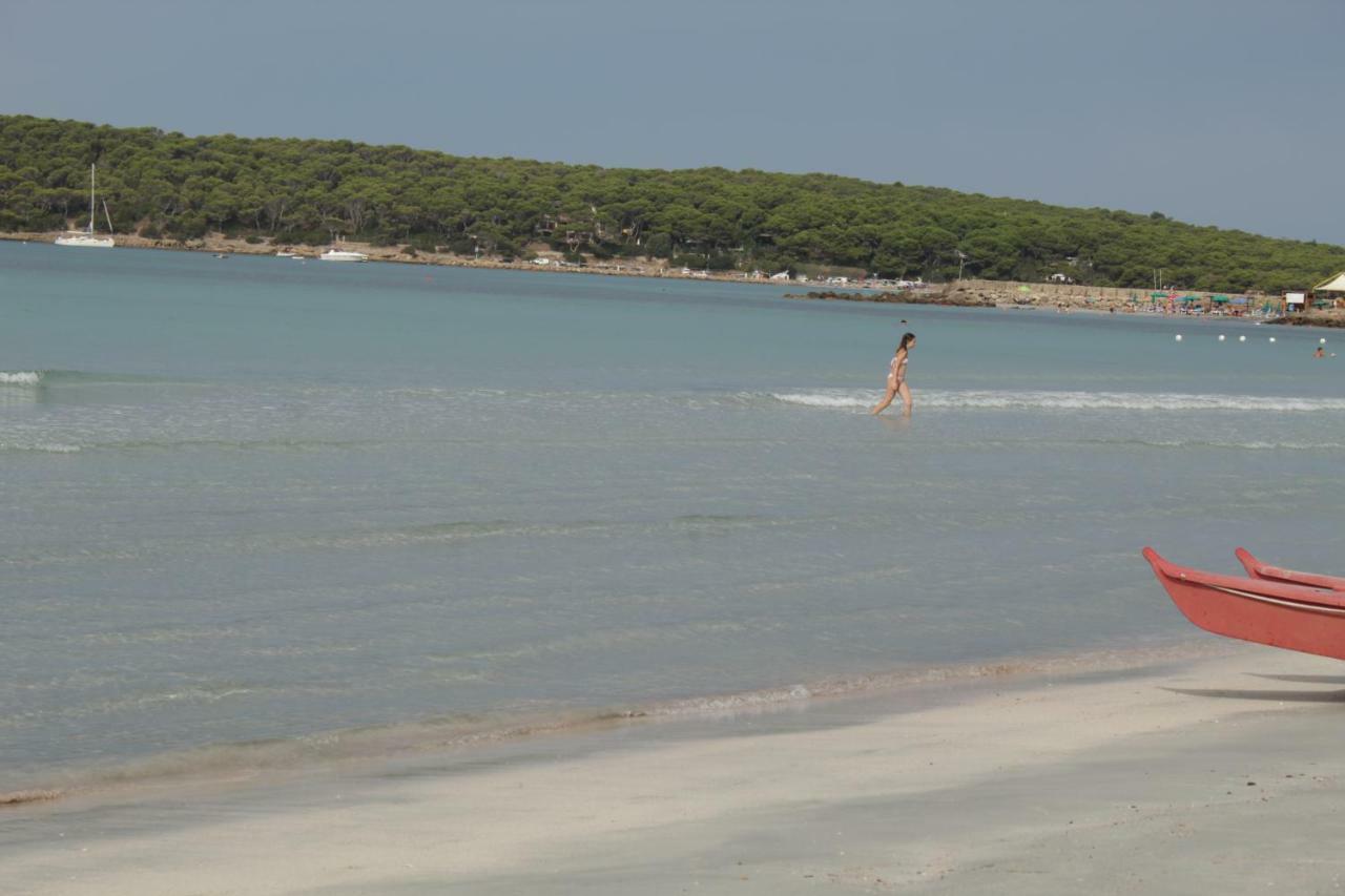 Casa Vacanze بيسكيناس المظهر الخارجي الصورة